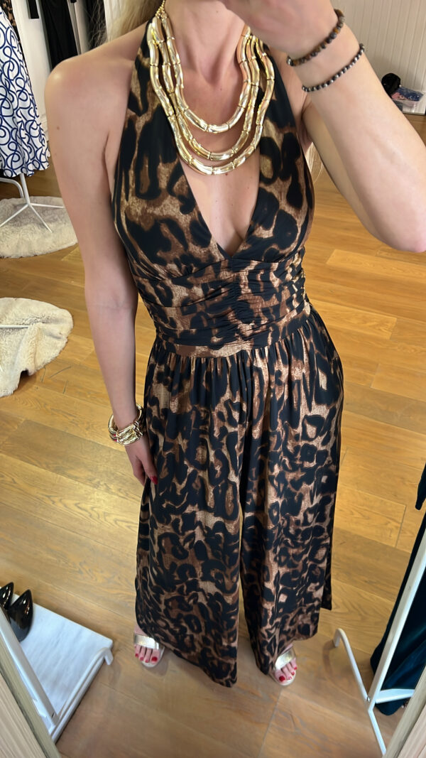 Mono Cleopatra